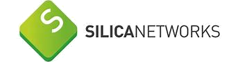 Silica Networks